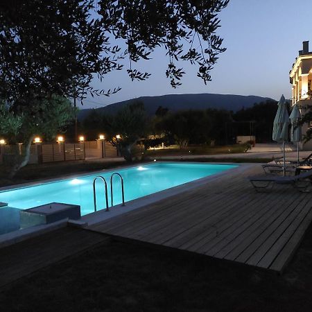 Villa Penelope Kalpaki  エクステリア 写真
