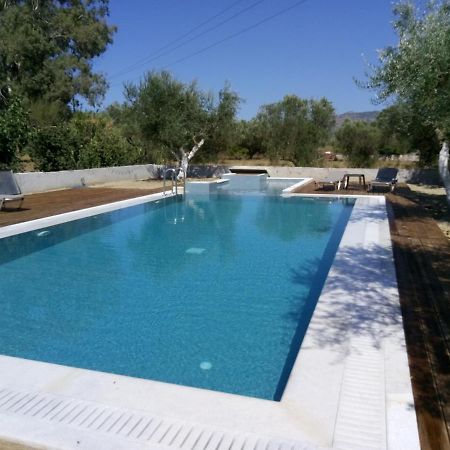 Villa Penelope Kalpaki  エクステリア 写真